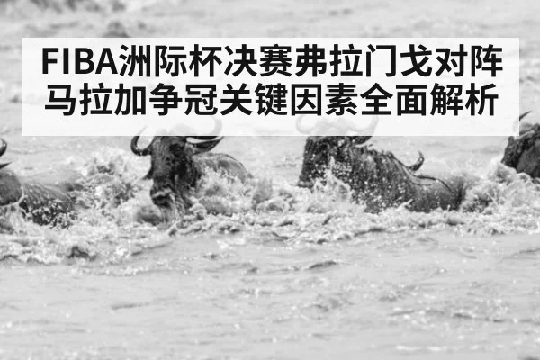 FIBA洲际杯决赛弗拉门戈对阵马拉加争冠关键因素全面解析